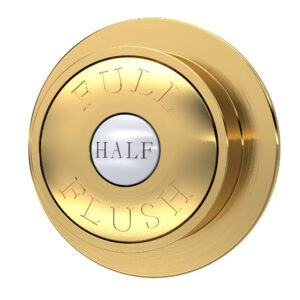 Hudson Reed Brushed Brass Dual Flush Button TDPB03