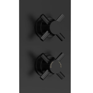 Hudson Reed Twin Thermostatic Shower Valve KRI4210