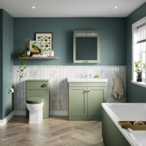 Nuie-600mm-Mirror-Cabinet-CLA817-1