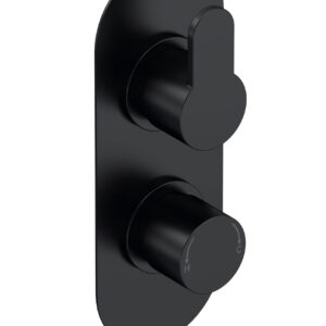 Nuie Twin Thermostatic Valve With Diverter ARV4TW02