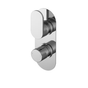 Nuie Twin Thermostatic Valve With Diverter BINTW02