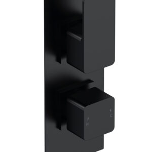 Nuie Twin Thermostatic Valve With Diverter WIN4TW02