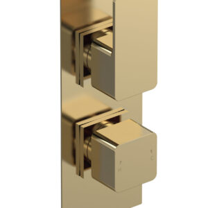 Nuie Twin Thermostatic Valve With Diverter WIN8TW02