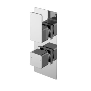 Nuie Twin Thermostatic Valve With Diverter WINTW02